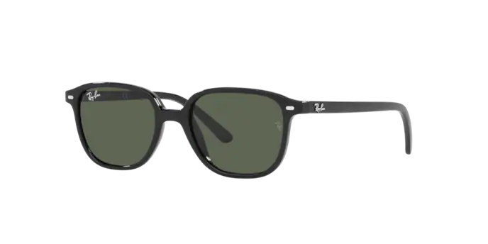 Ray-Ban Junior Leonard RJ9093S 100/71