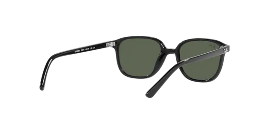 Ray-Ban Junior Leonard RJ9093S 100/71