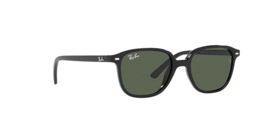 Ray-Ban Junior Leonard RJ9093S 100/71