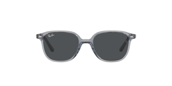 Ray-Ban Junior Leonard RJ9093S 711087