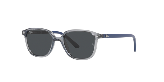 Ray-Ban Junior Leonard RJ9093S 711087