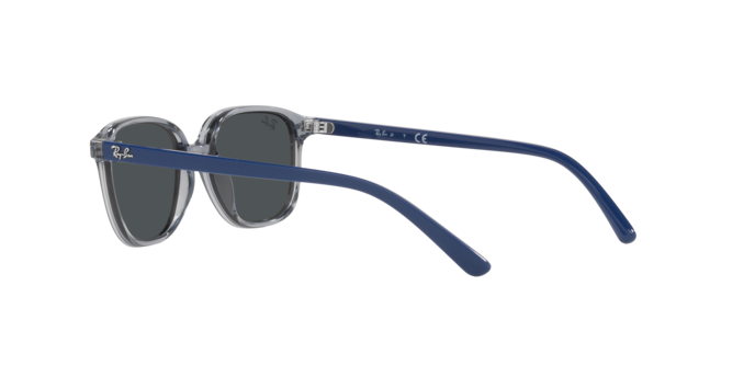 Ray-Ban Junior Leonard RJ9093S 711087