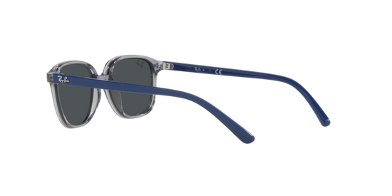 Ray-Ban Junior Leonard RJ9093S 711087