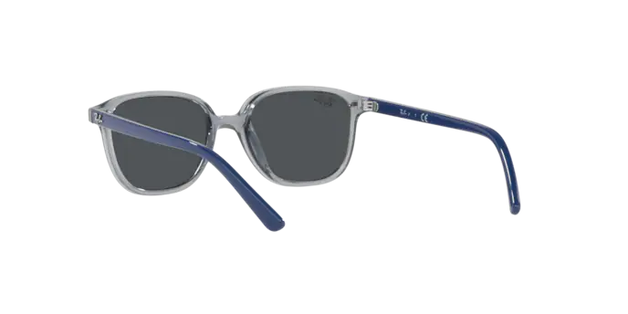 Ray-Ban Junior Leonard RJ9093S 711087