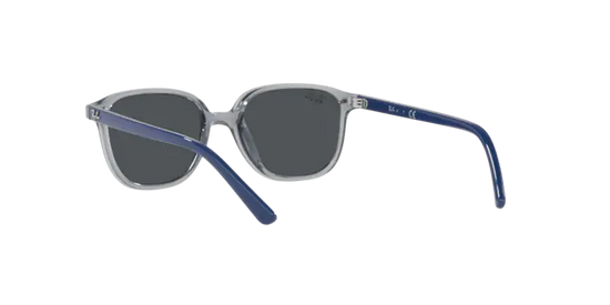 Ray-Ban Junior Leonard RJ9093S 711087