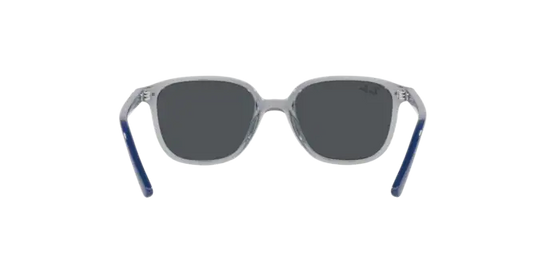 Ray-Ban Junior Leonard RJ9093S 711087