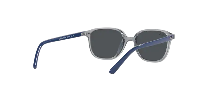 Ray-Ban Junior Leonard RJ9093S 711087