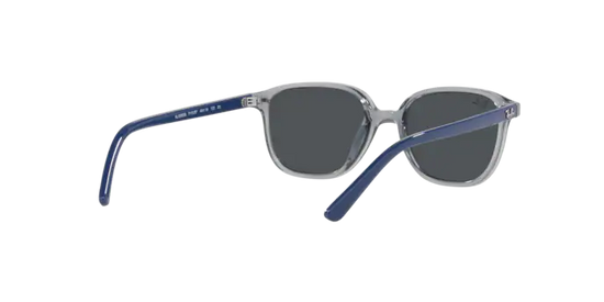 Ray-Ban Junior Leonard RJ9093S 711087