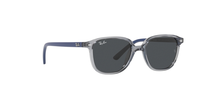 Ray-Ban Junior Leonard RJ9093S 711087