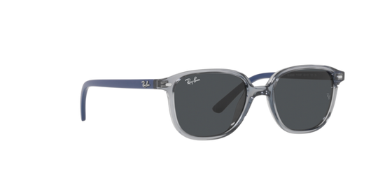 Ray-Ban Junior Leonard RJ9093S 711087