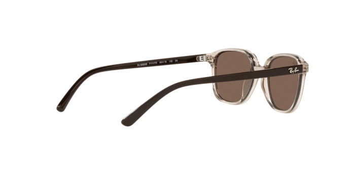 Ray-Ban Junior Leonard RJ9093S 711173