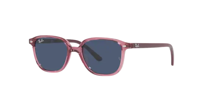 Ray-Ban Junior Leonard RJ9093S 711280