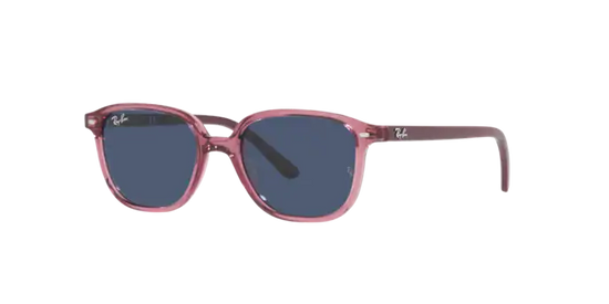 Ray-Ban Junior Leonard RJ9093S 711280