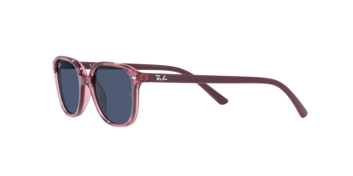 Ray-Ban Junior Leonard RJ9093S 711280