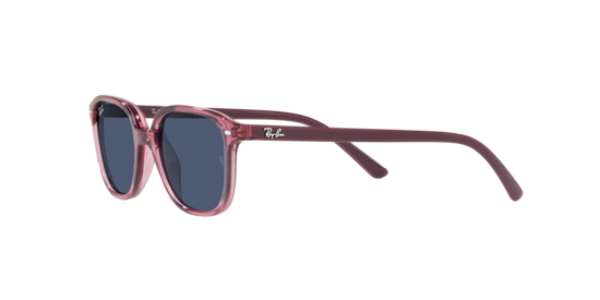 Ray-Ban Junior Leonard RJ9093S 711280