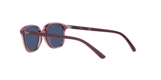 Ray-Ban Junior Leonard RJ9093S 711280