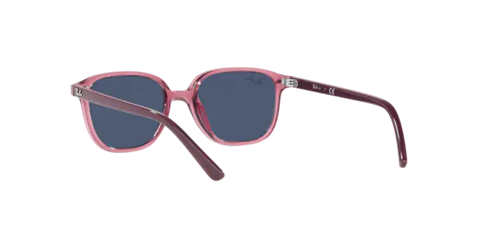 Ray-Ban Junior Leonard RJ9093S 711280