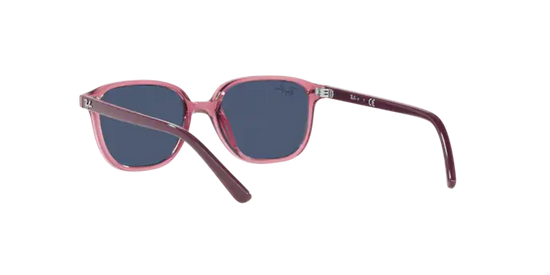 Ray-Ban Junior Leonard RJ9093S 711280