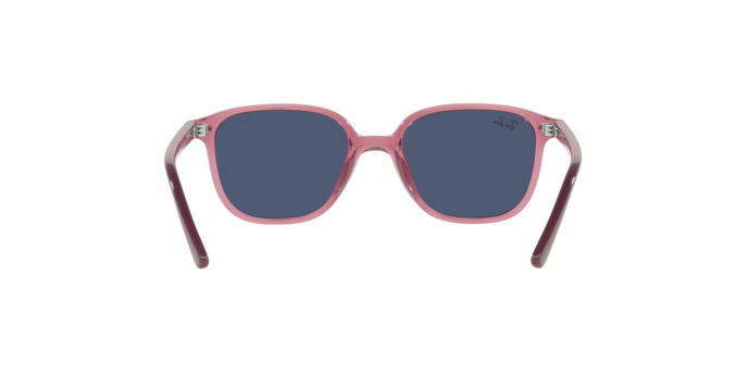 Ray-Ban Junior Leonard RJ9093S 711280