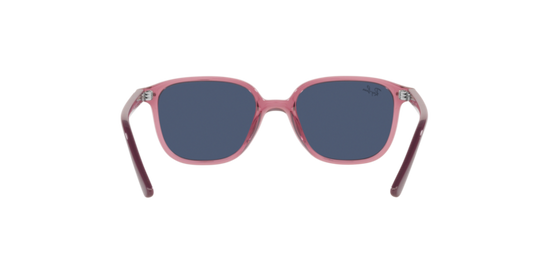 Ray-Ban Junior Leonard RJ9093S 711280