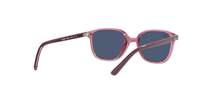 Ray-Ban Junior Leonard RJ9093S 711280