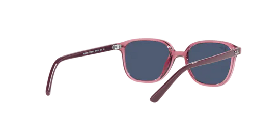 Ray-Ban Junior Leonard RJ9093S 711280