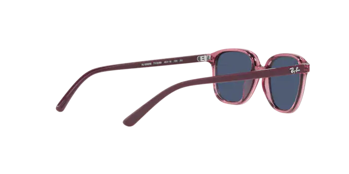 Ray-Ban Junior Leonard RJ9093S 711280