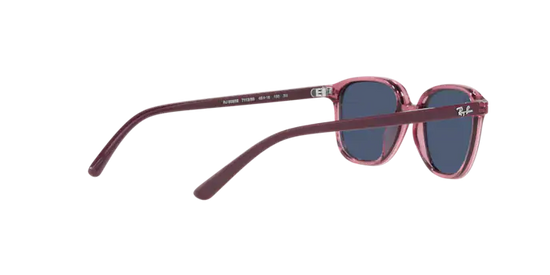 Ray-Ban Junior Leonard RJ9093S 711280