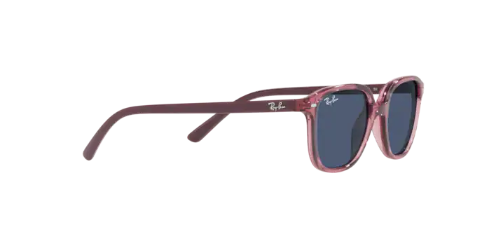 Ray-Ban Junior Leonard RJ9093S 711280