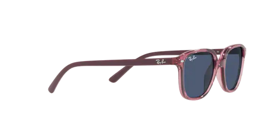 Ray-Ban Junior Leonard RJ9093S 711280