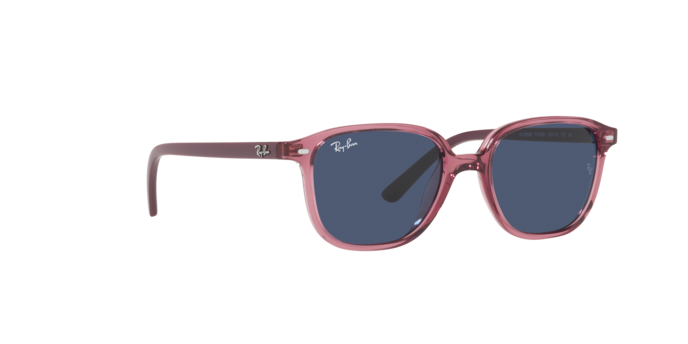 Ray-Ban Junior Leonard RJ9093S 711280