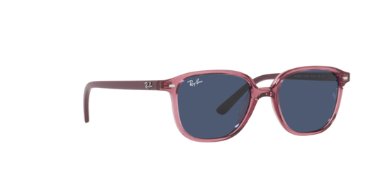 Ray-Ban Junior Leonard RJ9093S 711280