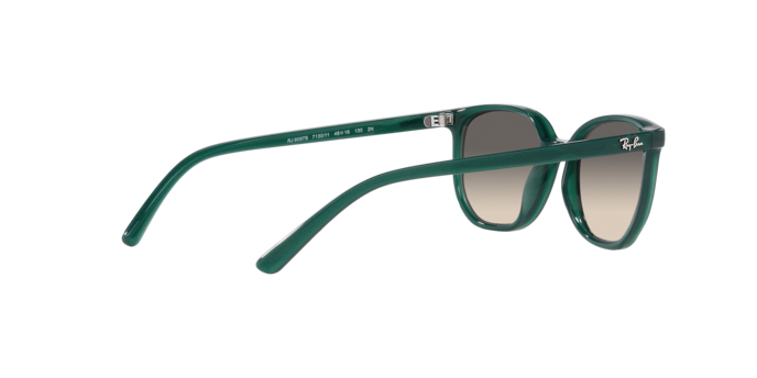 Ray-Ban Junior Elliot RJ9097S 713011