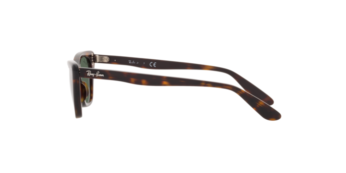 Ray-Ban Miss Burbank RJ9099S 710271