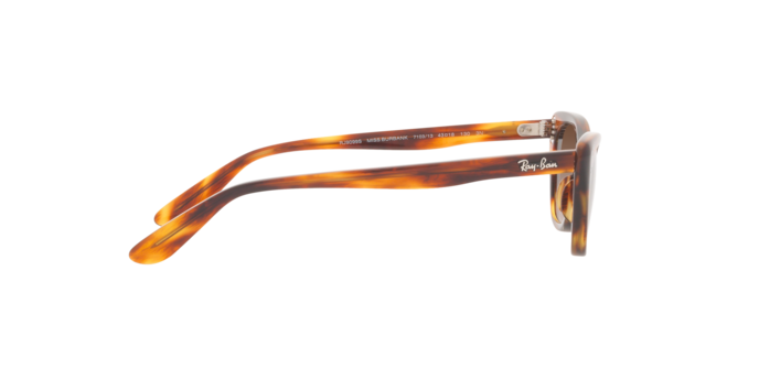 Ray-Ban Miss Burbank RJ9099S 710313