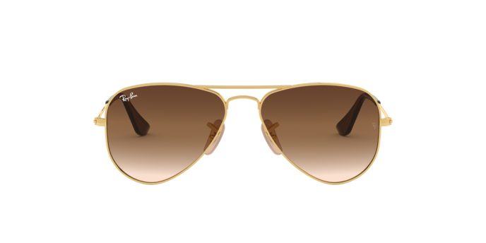 Ray-Ban Junior Aviator RJ9506S 223/13