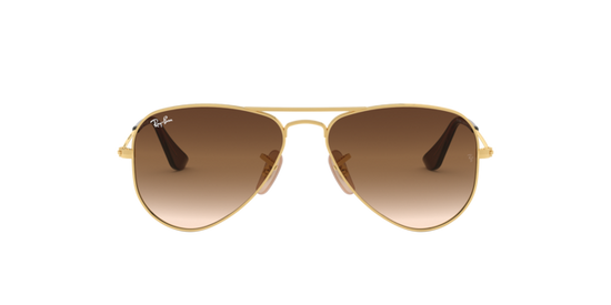 Ray-Ban Junior Aviator RJ9506S 223/13