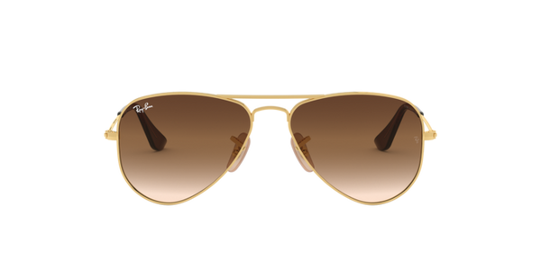 Ray-Ban Junior Aviator RJ9506S 223/13