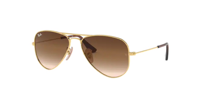 Ray-Ban Junior Aviator RJ9506S 223/13