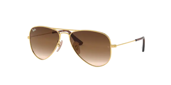 Ray-Ban Junior Aviator RJ9506S 223/13