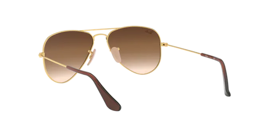 Ray-Ban Junior Aviator RJ9506S 223/13