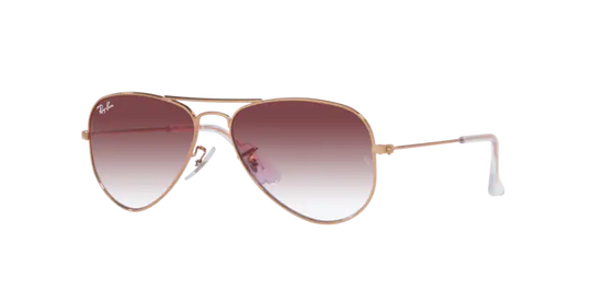 Ray-Ban Junior Aviator RJ9506S 291/8H