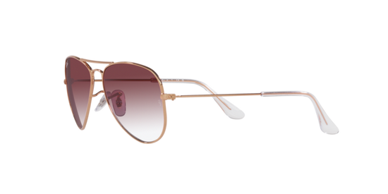 Ray-Ban Junior Aviator RJ9506S 291/8H