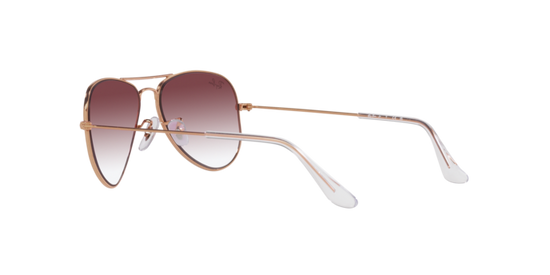 Ray-Ban Junior Aviator RJ9506S 291/8H