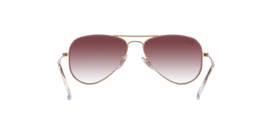 Ray-Ban Junior Aviator RJ9506S 291/8H