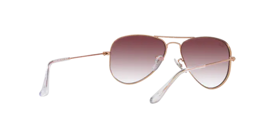 Ray-Ban Junior Aviator RJ9506S 291/8H