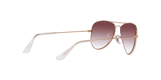 Ray-Ban Junior Aviator RJ9506S 291/8H