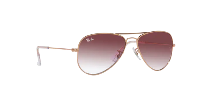 Ray-Ban Junior Aviator RJ9506S 291/8H