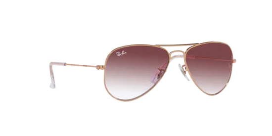 Ray-Ban Junior Aviator RJ9506S 291/8H