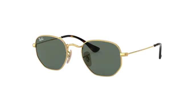 Ray-Ban Junior Hexagonal RJ9541SN 223/71